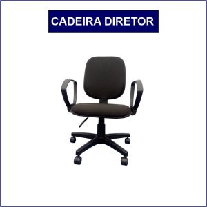 Cadeira Diretor Capa