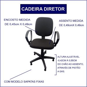 Diretor