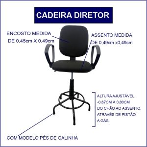 Diretor Galinha